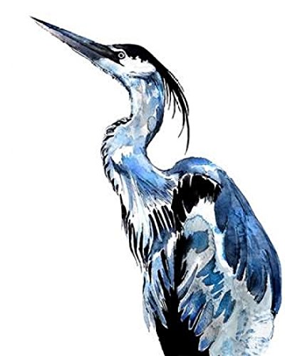 Coastal Blue Egret Poster Print by Crystal Smith (22 x 28)