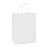 BagDream Paper Shopping Bags 10x5x13 100Pcs White Kraft Gift Bags with Handles Bulk, for Shopping, Merchandise, Retail, Party Favor, Gifts, Take-out, Recyclable Paper Sacks