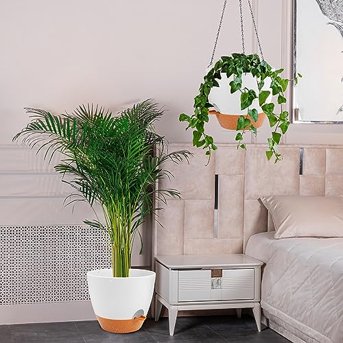 GARDIFE 12 Inch Self Watering Hanging Planter, Indoor Outdoor, White by GARDIFE - Used condition - Image 6