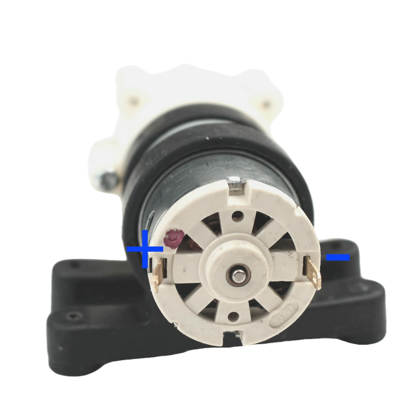 CONQUERALL DC 12V 385 Pompe à Eau Pompe à diaphragme Filtre à Eau avec Alimentation pour bonsaï wigwam