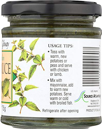 Gilway Fresh Garden Mint Sauce, 6.1 Oz #TOP5