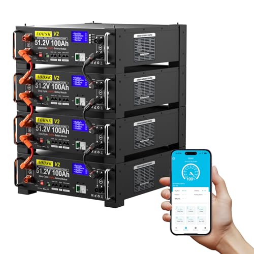 48V 400Ah(V2) LiFePO4 Lithium Battery (4 Pack 48V 100AH) with 100A BMS, 20.48kWh Capacity, Server...