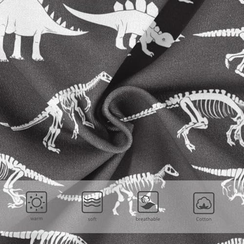 Wusikd Dinosaur Girls' Underwear Cotton Girls Briefs Soft Toddler Underwear 2T3