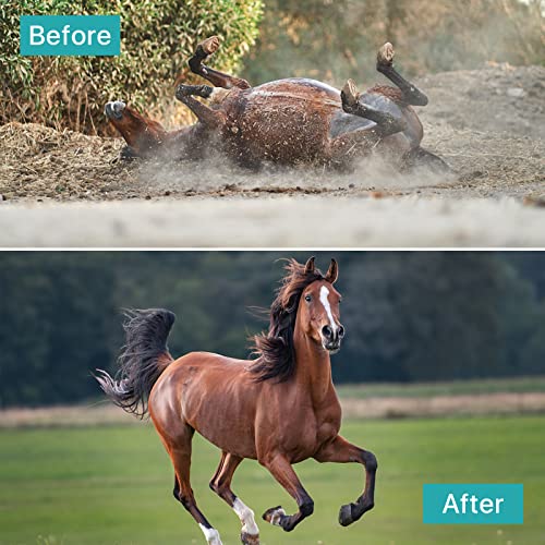 3 Pcs Reversible Stainless Steel Curry Comb 5 Rings, Aemygo Double Sided Horse Grooming Brush, Scotch Type Metal Dog Brush Large Rubber Hair Remover Comb, Soft Touch Grip Scraper for Cow Sheep Dog - Image 7