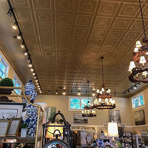 Victory 2 Ft. X 2 Ft. Tin Plated Steel Wall And Ceiling Patterns Nail Up Steel (Unfinished) 12 Pack #TOP1