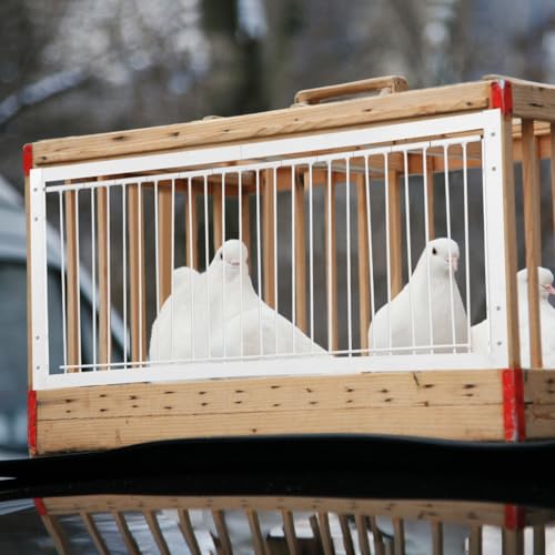 Image of OUNONA Cage One Way Entrance Door Racing Birds House Door Reinforced Bird Cage Door for Training Breeding Easy Install 20.86 X 10.23 X 0.78 in