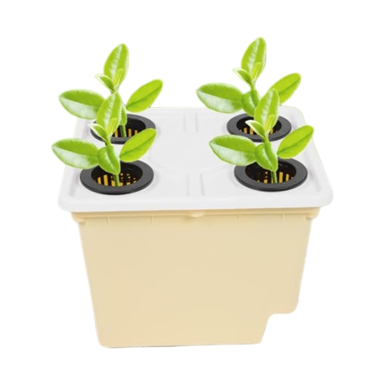 Seau de culture hydroponique sans terre : jardinière de qualité alimentaire pour tomates