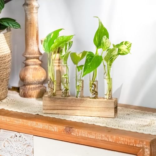 Image of ecofynd Test Tube Planter with Wooden Holder, Air Planter Glass Vase Holder with 5 Test Tube, Home Decor Hydroponic Plant Stand for Table Top, Desktop, Living Room, Office (TTP001)