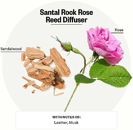 Apotheke Luxury Scented Reed Diffuser for Home, Santal Rock Rose - 6.7 Fl Oz Essential Oil Aromatherapy - 10 Rattan Scent Sticks Room Diffuser - Long-Lasting Fragrance for Bedroom, Home, Bathroom - Thumbnail 4