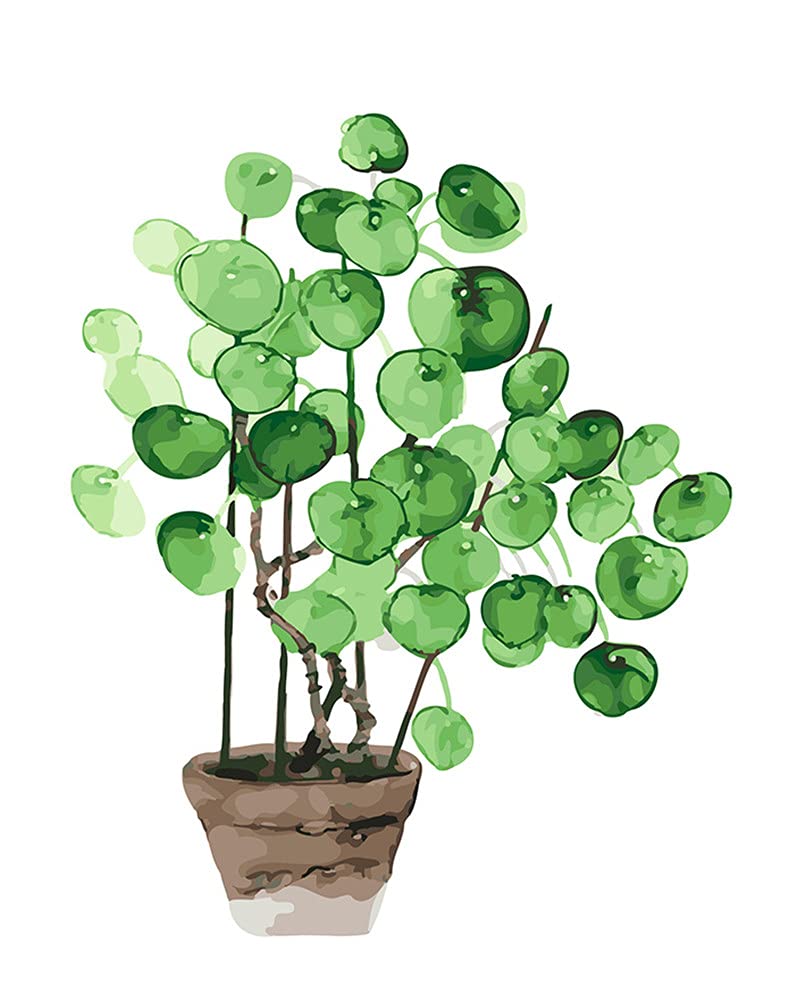 Amiiba DIY Paint by Numbers Kits, Coin Little Tree, Nordic Green Plants 16x20 inch Acrylic Painting by Number Wall Art Crafts (Plants, Without Frame) — image 1