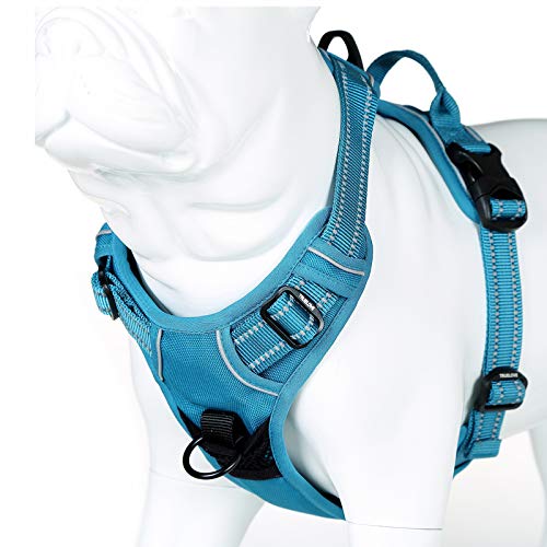 MOKCCI Truelove Soft Front Dog Harness .Reflective No Pull Harness with Handle and 2 Leash Attachments