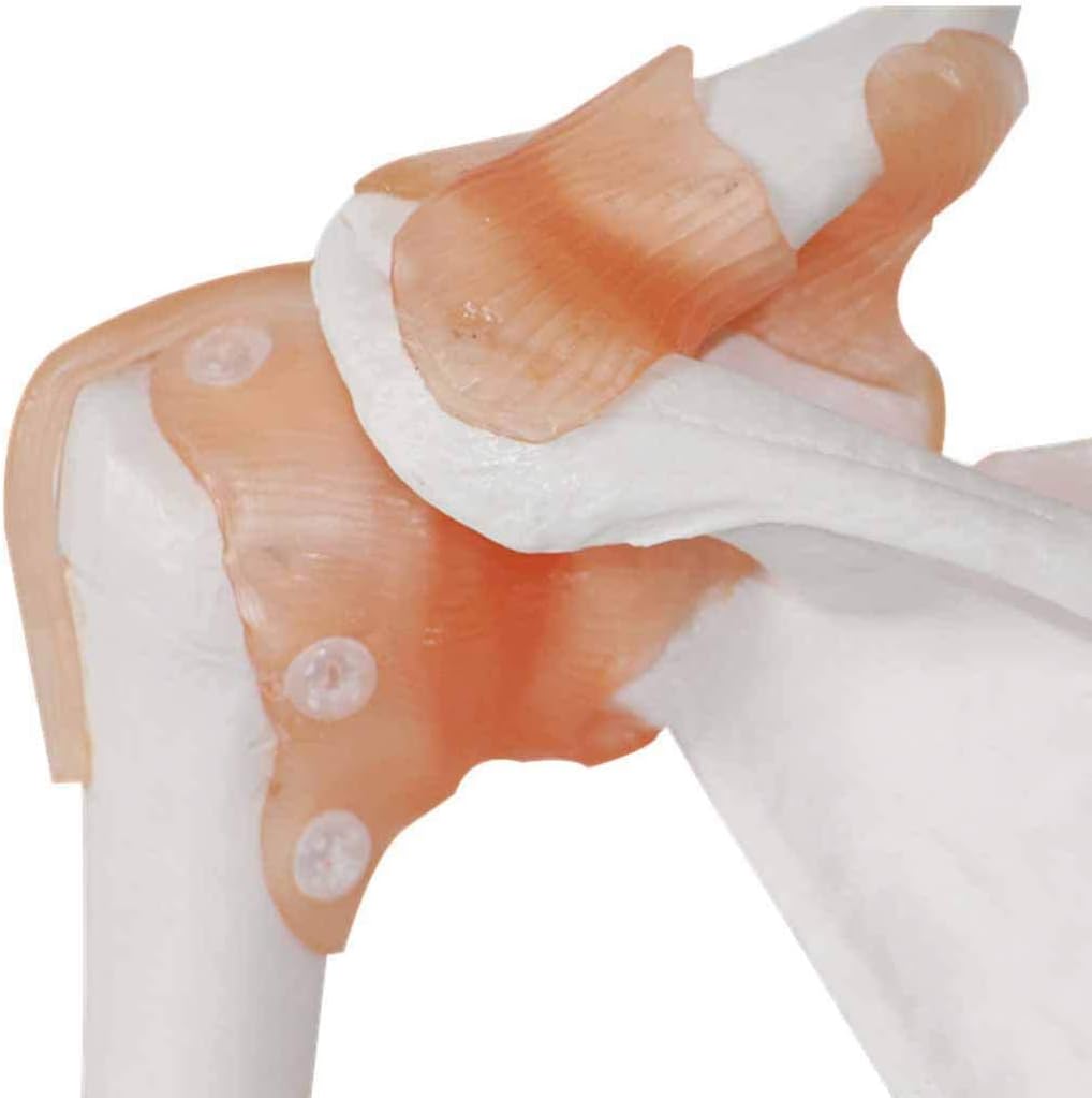 medicina comune per l'uomo