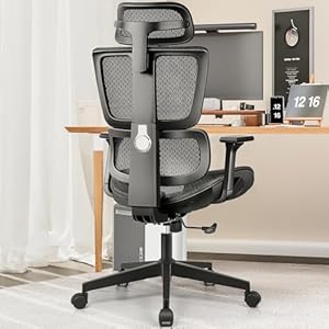 Ergonomic Office Chair with Lumbar Support – Home Office Desk Chair with Adjustable Headrest and 3D Armrests – Computer Chair Big and Tall – Mesh High Back Gaming Chair (Black)