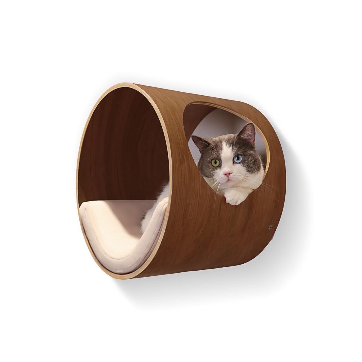 Amazon.com : CHEERHOME PETS Round Wall Mounted Cat Bed
