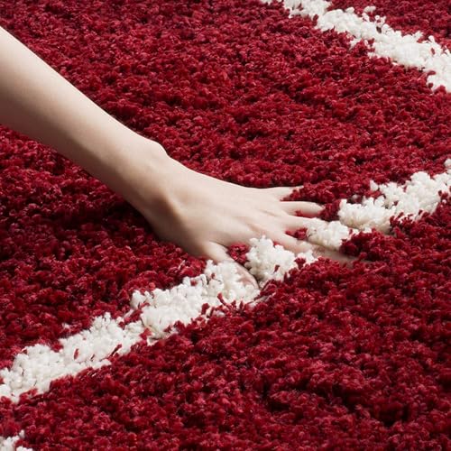 Image of Plush Shag Area Rug for Living Room, 244 cm x 305 cm, Brown (RED Box, 4X4 FEET)