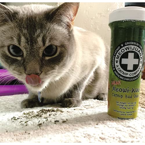 Meowijuana | Catnip Bundles | Organic | High Potency Cat Treats | Perfect for Cat Toys | Grown in The USA | Feline and Cat Lover Approved (Mice Dreams Catnip Bottle Bundle)