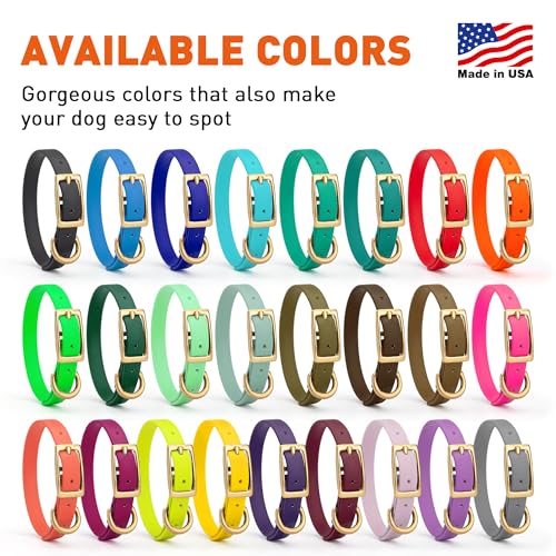 Image of Viper Biothane Heavy Duty Waterproof Dog Collar Strong Coated Nylon Webbing w /Solid Brass Hardware Odor-Proof Easy to Clean High Performance Fits Small Medium or Large Dogs, Blueberry Royal