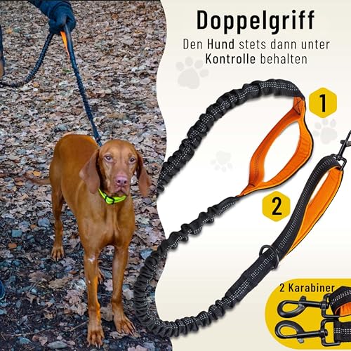 Hundefreund Joggingleine für große Hunde ab 15 kg | Elastische Freihandleine mit leichtem Bauchgurt | Abnehmbare Hundeleine mit 2 weichen Schlaufen | Orange Laufleine (120 cm, dehnbar bis 170 cm)