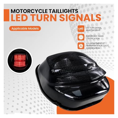 Luz Trasera Transparente Honda CBR1100XX 6