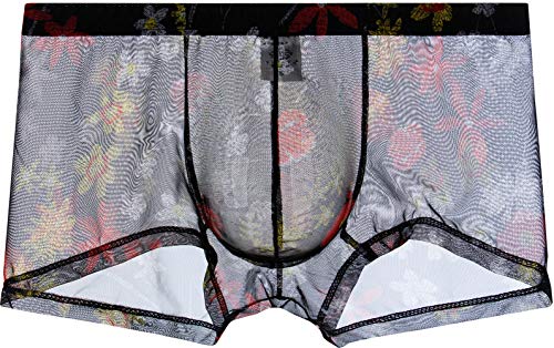 iKingksy Men's See Through Boxer Briefs Sexy Low Rise Pouch Trunk Underwear2