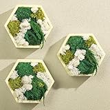 RattanView 3 Pcs 5 x 6inch Moss Wall Art Wood Color Honeycomb Moss Hexagon Wood Framed Decor for Housewarming Gifts Living Room Bathroom Kitchen Wedding Decorative(Green,5 * 6 Inch)