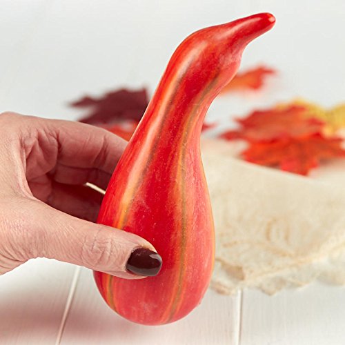 Factory Direct Craft Harvest Orange Artificial Gourds | 6 Gourds