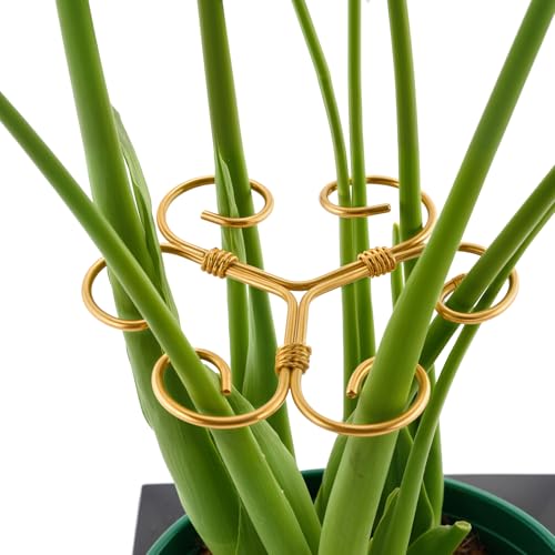 Yeomant 4PCS Green Iron Monstera Support Uniquely Designed Plant Support Stakes for Indoor Plants Stable Plant Stakes and Supports Turtle Shell Bamboo Clamp Set for Thriving Growth