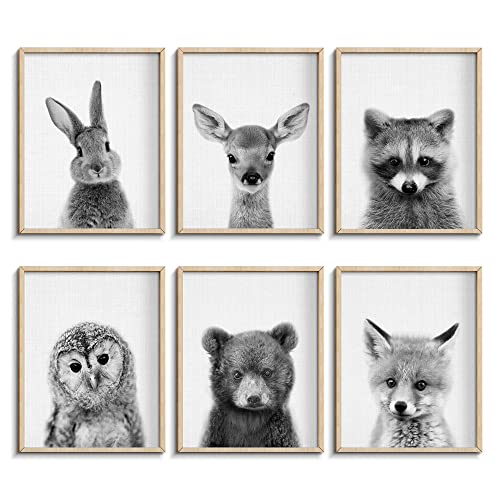 Image of EPHANY Black and White Wall Art, Baby Animal Posters and Prints, Safari Bunny Prints, Nursery Bear Wall Art, Owl Print Wall Art Nordic Picture Kids Room Decoration (YMX017,12"X16"(30x40cm))