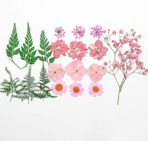 Flores secas mezcladas para manualidades y artesanía miniatura 2