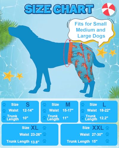 Image of CuteBone Dog Swim Trunks Swimsuit Durable & Comfortable - Quick-Dry, Adjustable Waistband Shorts, UV Protection Bikini- Perfect for Beach, Pool & Outdoor Fun, Dinos DST16XXL