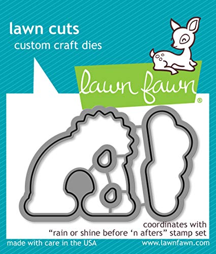 Lawn Cuts Custom Craft Die-rain Or Shine Before 'n Afters