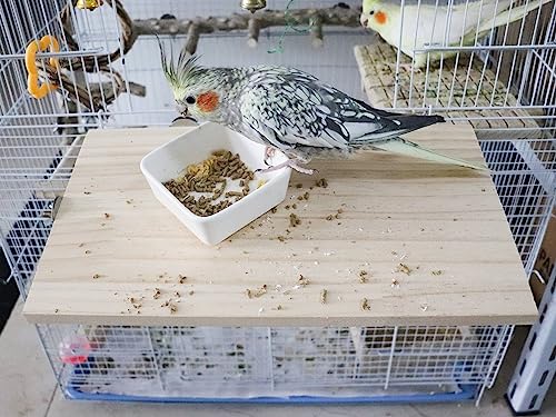34.5 x 20 cm Large Bird Platform, Natural Wood Pet Climbing Platform - Image 3