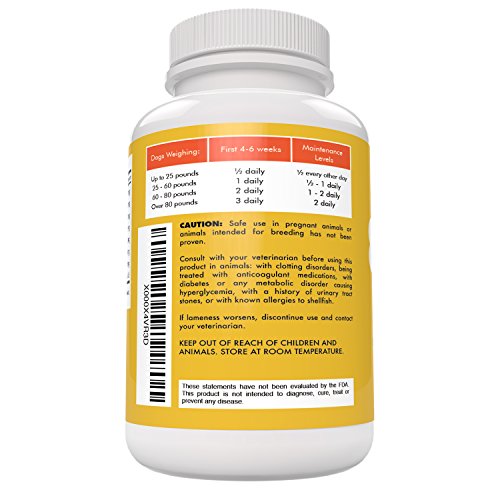 Buddy & Lola Dog Hip And Joint Supplement - 800Mg Extra Strength Glucosamine For Dogs - 120 Dog Joint Supplement Chews With Msn, Chondroitin For Mobility And Arthritis Pain Relief For Dogs #TOP6