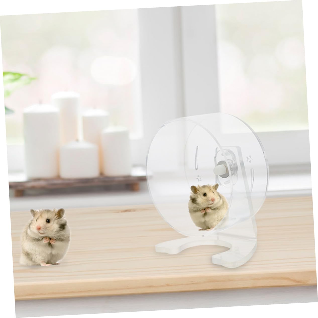 Rueda de Ejercicio para Hámster Transparente Silenciosa con Soporte Diseño Espacioso para Mascotas Pequeñas Resistente y Fácil de Observar
