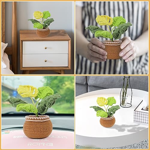 Image of kgxulr Crochet Kit, Monstera Leaves Knitting Kit, Crochet Kit for Beginners | Crochet Kit for Beginners, Crochet Flower Kit, Beginner Crochet Kit for Adults with Step-by-Step Video Tutorials