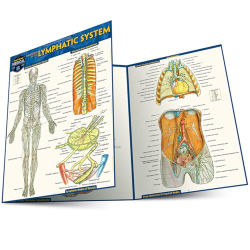 Anatomy of the Lymphatic System: a QuickStudy Laminated Reference Guide