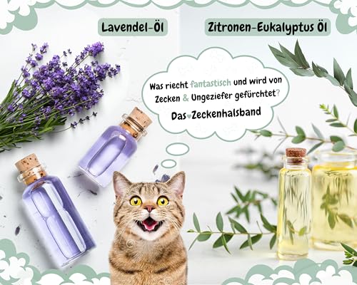 tooSimple Das Zeckenhalsband für Katzen 100% Pflanzliches Premium Öl Wirkungsvoller Schutz gegen Zecken Flöhe Mücken Läuse Ungeziefer - 8 Monate Wirkungsdauer