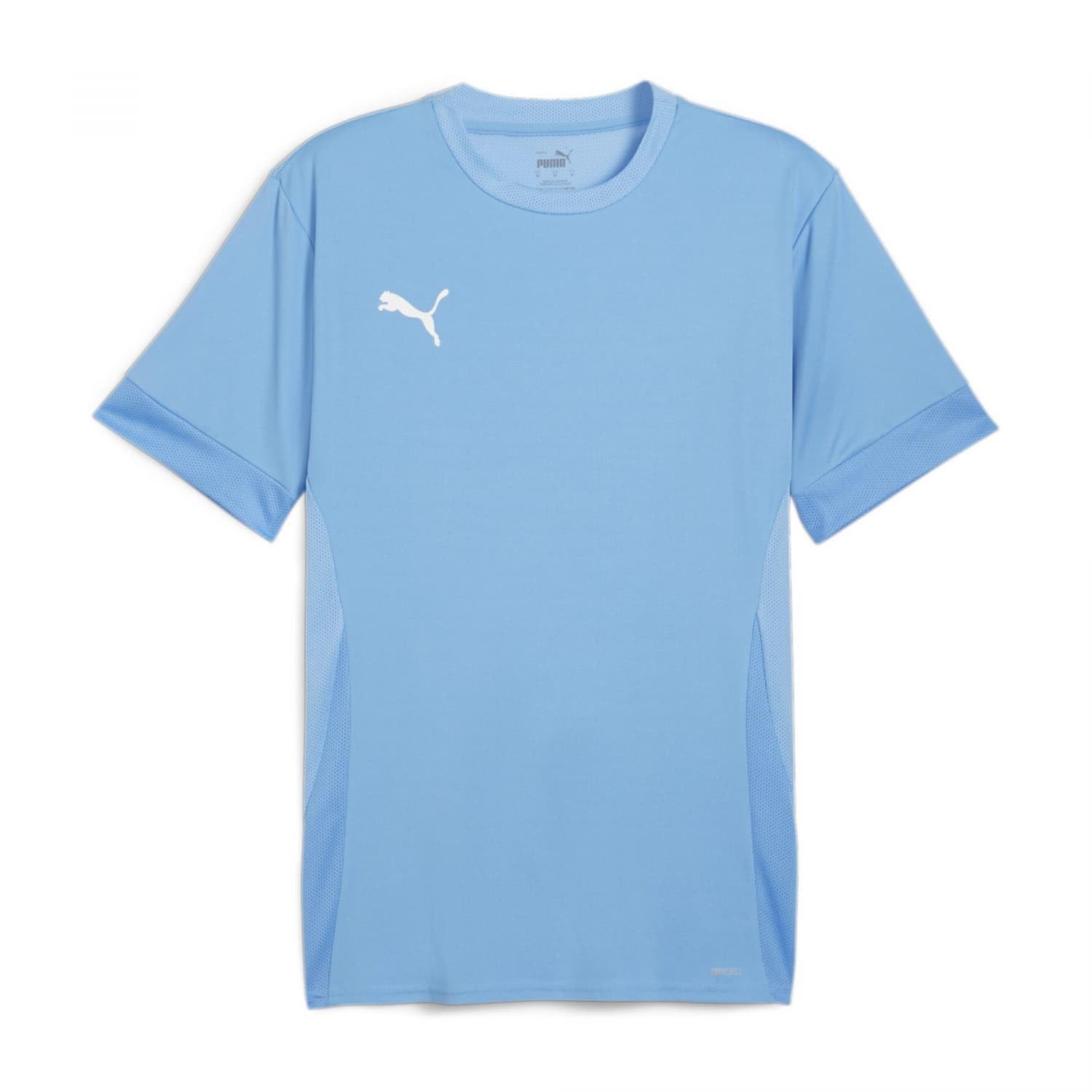 PUMA teamGOAL Matchday Jersey jr