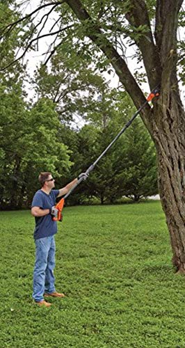 BLACK+DECKER 20V MAX Pole Saw, 8-Inch (LPP120)