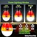 Campings Light [4 Pack] Doukey Portable Camping Lantern Bulb LED Tent Lanterns Emergency Light Camping Essentials Tent Accessories LED Lantern for Backpacking Camping Hiking Hurricane Outage