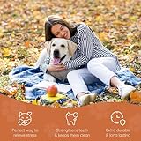 Wildfang® Kauwurzel aus Baumheide für Hunde, Größe L - Natürliches Kauspielzeug Hund, splitterfreies Hundespielzeug unzerstörbar zur Zahnpflege Hund & Welpenspielzeug (für Hunde 25–45 kg), 1 Stück