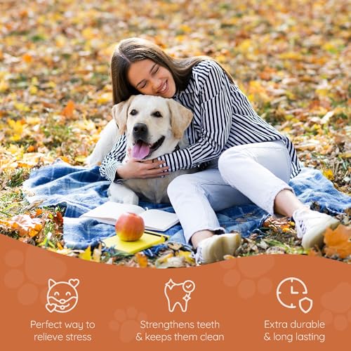 Wildfang® Kauwurzel aus Baumheide für Hunde, Größe L - Natürliches Kauspielzeug Hund, splitterfreies Hundespielzeug unzerstörbar zur Zahnpflege Hund & Welpenspielzeug (für Hunde 25–45 kg), 1 Stück