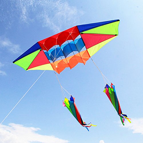 Besra Huge 98inch Single Line 3D Radar Kite with Flying Tools 2.5m Power Box Kites with 2 Windsock Tails Outdoor Fun Sports for Adults (windsock)