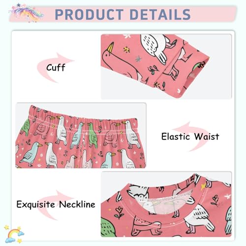 Pajama Sets Long Sleeve Cute Birds Pattern on Pink Soft Comfy Sleepwear 2 Piece PJS 3-8T4