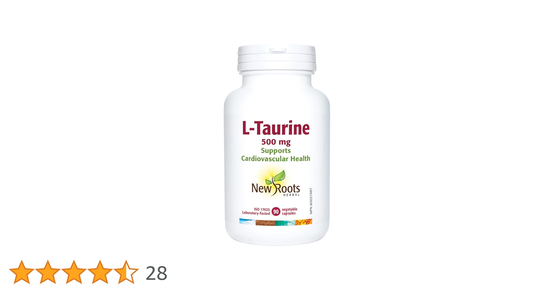 51CH6dqlqRL.jpg_BO30,255,255,