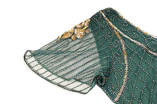 Image of Women 1920s Gatsby Vintage Sequin Flapper Fringe Party Plus Dress with 20s Accessories Set