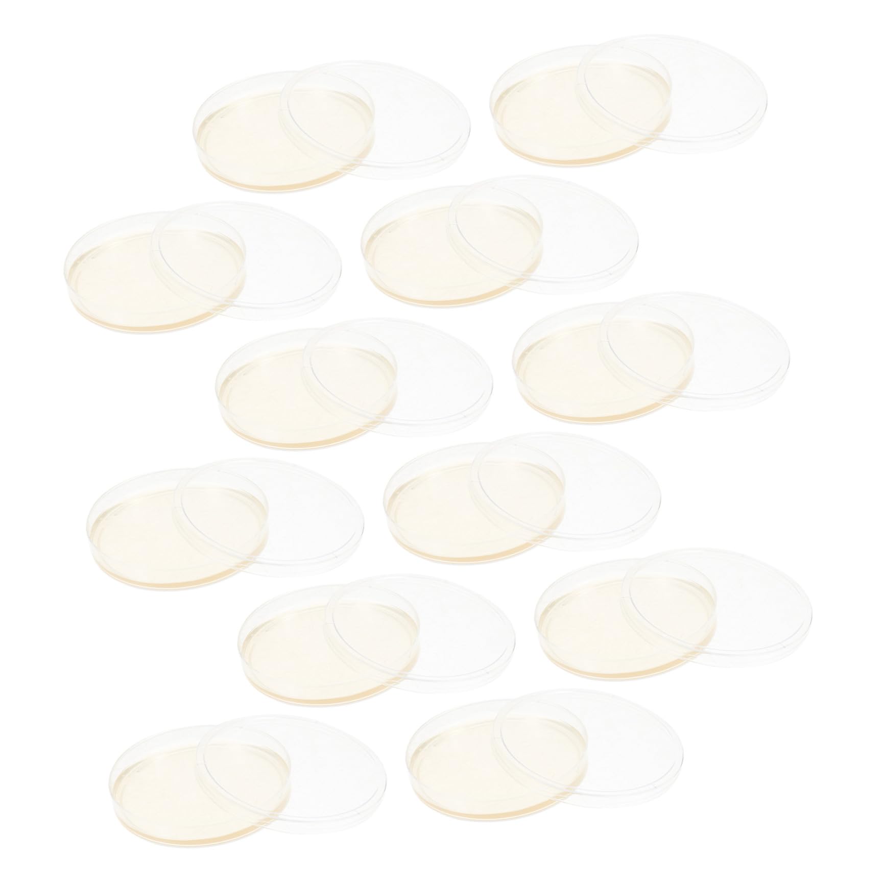 SECFOU Piastre di Petri in Plastica Agar Nutriente 20 Pezzi 9 Cm Coperchi Ermetici per Colture Stabili di Funghi e Cellule Uso Laboratoriale e Ricerca
