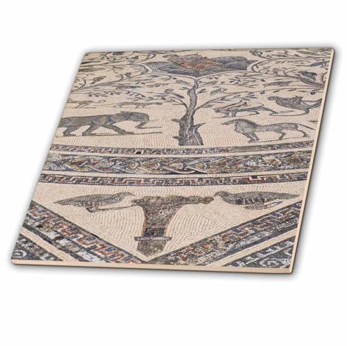 3dRose Morocco, Mosaic Tile Floor in Volubilis Roman Ruins. 6 Inch Ceramic Tile