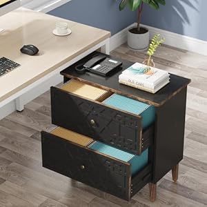 Tribesigns 2 Drawer Lateral File Cabinet, Office Filing Cabinet for A4 / Letter Size/Legal Size Files, Wood Storage Cabinet Printer Stand for Home Office, Living Room, Black Tribesigns 2 Drawer Lateral File Cabinet Office Filing Cabinet for A4 Letter SizeLegal Size Files Wood Storage Cabinet Printer Stand for Home Office Living Room Black