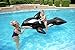 H2OGO! Jumbo Whale Rider Inflatable Pool Float